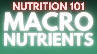 The Only Nutrition Basics Video You Need To Watch | Medically Speaking