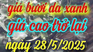 giá bưởi da xanh hôm nay ngày 28/5/2025