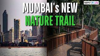 Mumbai is All Set to Get Its First Elevated Forest Walkway at Malabar Hill