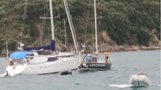 Waiheke Island attacked by a sailor - Ep  246