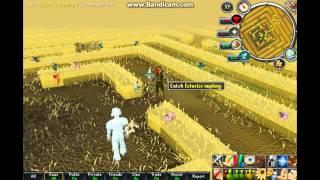 Runescape Private Server - Brand New RSPS 2016