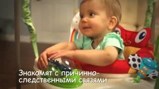 Кресло-прыгунки Fisher Price К7198  Джунгли. Прокат, аренда в Ровно