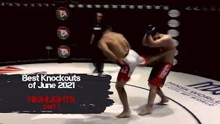 Best Knockouts of June 2021 | part 1 | Highlights | MMA