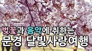 [IIJ] '문경달빛사랑여행 벚꽃야행', 영신숲길에서 펼쳐져