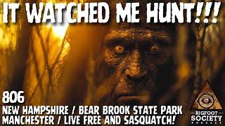 It Charged Me From 30 Feet — The New Hampshire Sasquatch Encounter