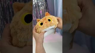 Котокуб или кубокот?