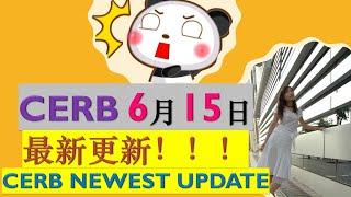 CERB最新更新|NEWEST UPDATE ABOUT CERB|CERB将会延长？？？|程序员妹子频道 I'm TingTing