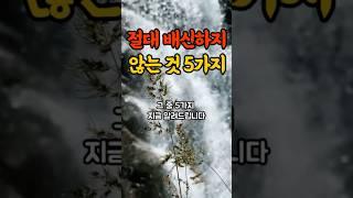 절대 배신하지 않는 것 5가지#명언#힐링#좋은글#삶의지혜