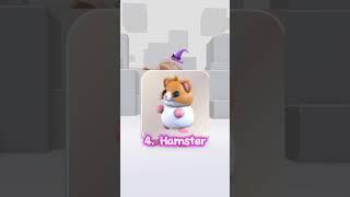 TOP 6 PREPPY PETS IN ADOPT ME#roblox #adoptme #robloxshoppingspree #viralvideo #gaming