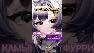 мы за мир и дружбу #vtuber #втубер #fyp #recomendation #raccoonvtuber