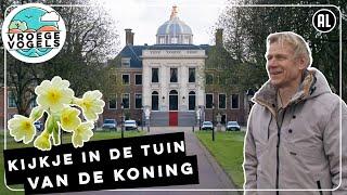 Bloemen in de tuin van de koning | TV| Vroege Vogels