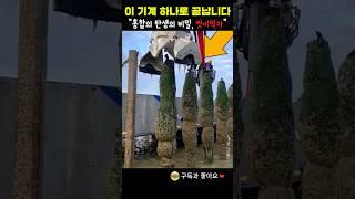 홍합의 탄생의 비밀 씻어 먹야하는 이유