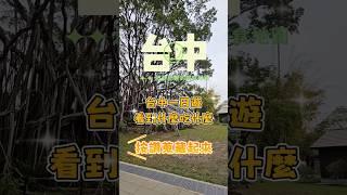 台中一日遊看到什麼吃什麼~來去台中新景點-國家漫畫博物館接著還有彩繪漫畫巷跟七龍珠合影拍照 #台中 #台中美食 #台中景點 #台中必吃 #台中一日遊 #一日遊 #肥哥肥嫂 #餅 #太陽餅 #古早味