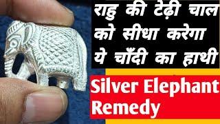 Best Remedy to Control Rahu By Silver Elephant | बड़े कमाल का चाँदी का हाथी | Lal Kitab Ke Upay