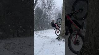 Snow Tree Rides ️🪵 #fatbike