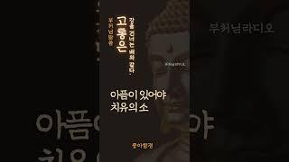 고통은 강을 건너는 배와 같다(苦如渡船) | 부처님말씀 | 석가모니명언 | 인생지혜 | 명상의말씀