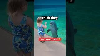 Girl makes friend with dolphin (@Whistle)