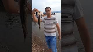 жена показала мне класс на рыбалке. #fishing  #рыбалка  #рек #реки #shorts #рекомендации