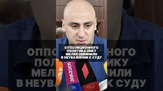 Ника Мелия может получить два года тюрьмы в Грузии за то, что облил судью водой и оскорбил его