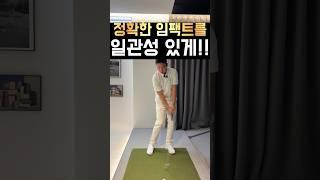 정확한 임팩트를 일관성 있게!!