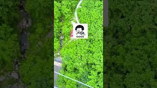 Bungee Jumping With Rope In Beautiful Place:Asmr Bungee Jumping