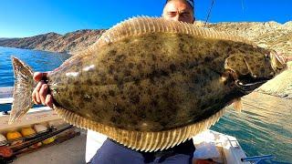 Catalina Island Fishing! (Halibut Catch, Clean and Cook)