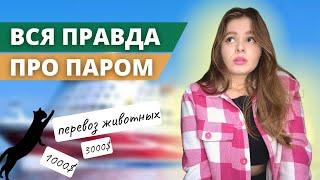 VLOG: ВСЯ ПРАВДА ПРО ПАРОМ В ИРЛАНДИЮ ~ стало плохо? ПЕРЕВОЗ ЖИВОТНЫХ #влог #паром #ирландия