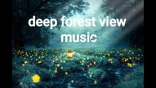 Relaxing music with cool forest view/forest music/forest gump music/#mstf/deep focusing music/#music