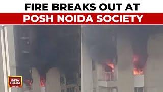 Viral Video: Massive Fire In Noida's Lotus Boulevard Residential Society's Flat After AC Blast