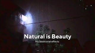 Natural Light Rain Sounds for Sleeping | African Midnight Natural Rainfall Footage |