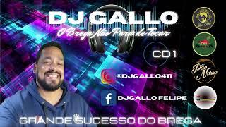 Grande Sucesso do Brega Com Dj Gallo