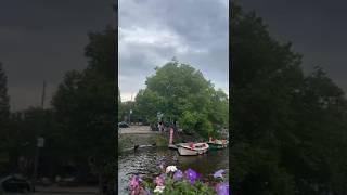 Amsterdam's Canals walking #shorts #natural #amsterdamholidays #travel #views #Canals #guide