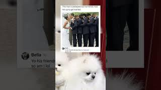 Subscribe :)#memes #dog