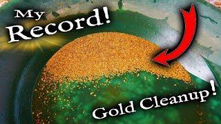 My biggest GOLD clean up of my life!