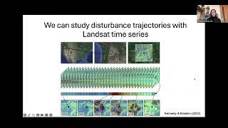 Science Seminar: ecosystem disturbance examined through NEON AOP data