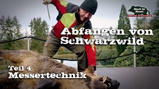 Abfangen von Schwarzwild | Teil 4: Messertechnik