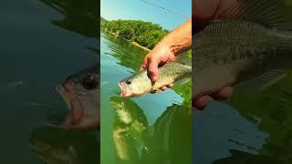 Just good ol’ fashion fun ‍️ #bassfishing #fyp #foryou