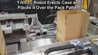 Compact Robotic Case Packers for Top, Side or Bottom Load