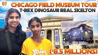 Chicago Field Museum Tour || Real T-Rex Dinosaur || USA Telugu Vlogs