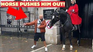 King’s Guard Horse Teaches IDIOT Tourist a Lesson for Crossing the Line!