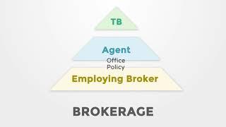 Real Estate Brokerage Relationships in Colorado - Difference Between Real Estate Agent and Broker