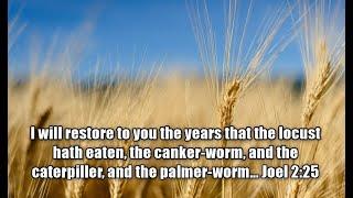 The Locust and Palmer Worm