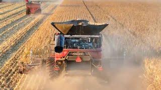 This Week in Agribusiness, Oct. 12, 2024