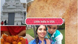 VLOG | LITTLE INDIA IN USA | NEW JERSEY