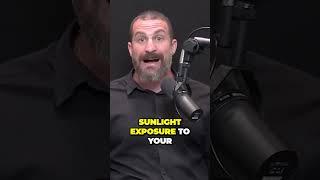The Surprising Truth About Cloudy Days and Sunshine Exposure - Huberman Labs