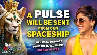 Galactic Message from LYRA - This August LIONS GATE Everything is about to Shift! 