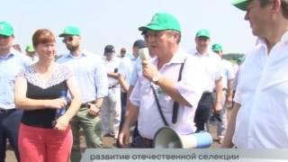 29.07.2016 - Краевой день поля