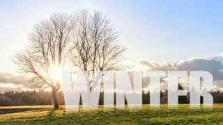 Fall/Winter Lawn Care | Advanced Irrigation of Twin Cities MN