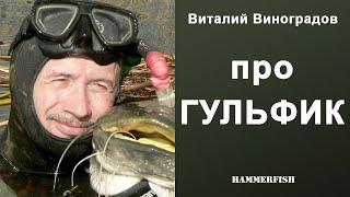 Про гульфик. Виталий Виноградов. Встреча в магазине HAMMERFISH