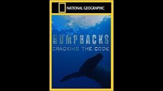 Киты-горбачи: разгадка кода / Humpbacks: Cracking the Code